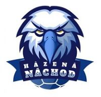 Obrázek